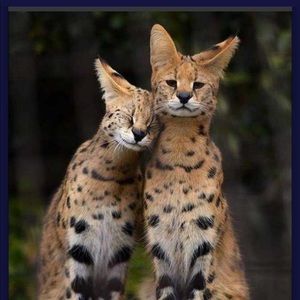 Meet your Posher, Jared